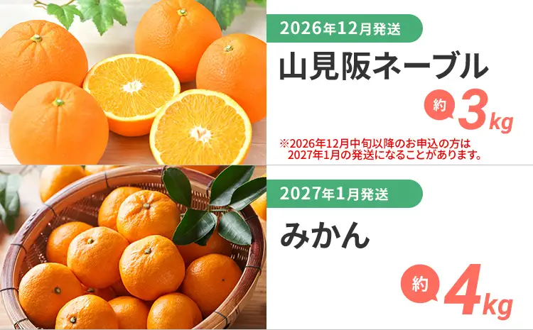 定期便 果物定期便A 4回発送 みかん 山見阪ネーブル デコポン 博多あまおう 定期発送 果物 くだもの フルーツ 柑橘 イチゴ 送料無料 【2026年12月～2027年3月発送】
