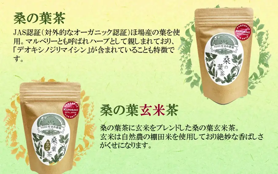 国東産 4種のノンカフェイン健康茶飲み比べセット(箱入り) 桑の葉茶・桑の葉玄米茶・びわの葉茶×2・柿の葉茶×2 計6袋・60包_1986R
