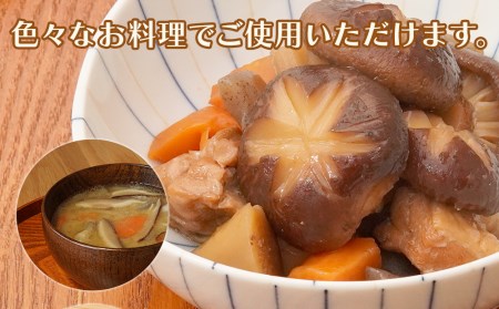 乾燥椎茸 カケ葉 椎茸 100g×5パック | 乾しいたけ 干し椎茸 干ししいたけ 乾燥しいたけ 干しシイタケ 原木 大分県産 九州産 中津市 国産 送料無料