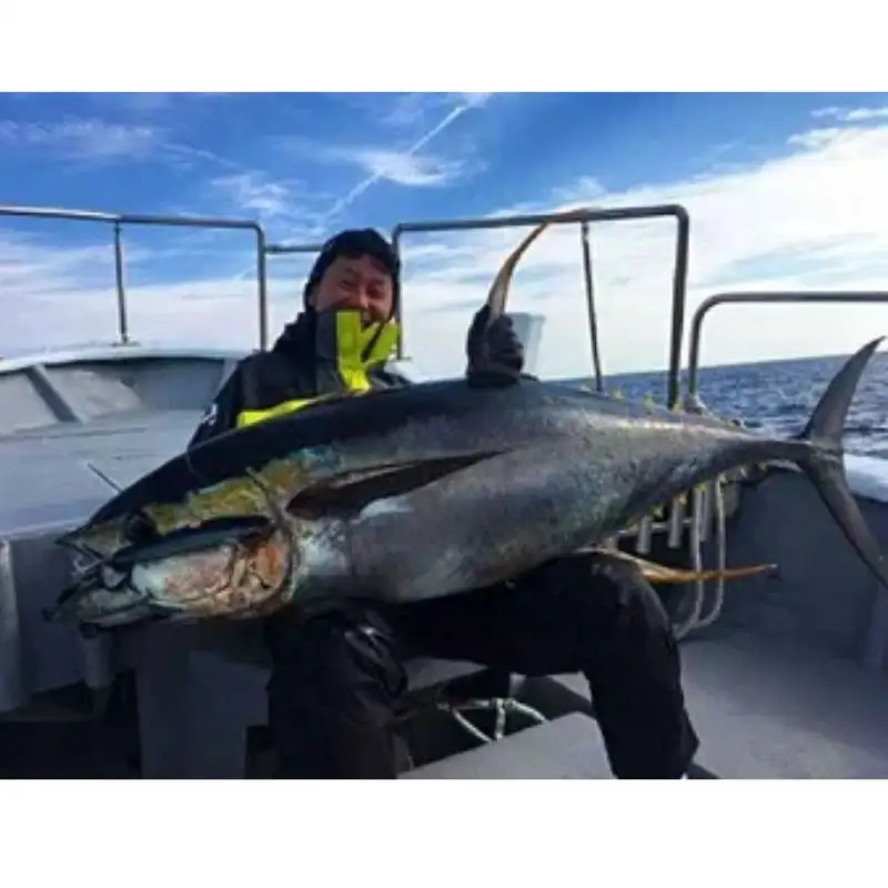 【マグロキャストチャーター】第八大洋丸 1日チャーター券(大人6名迄)　/まぐろ 鮪 【tym100】