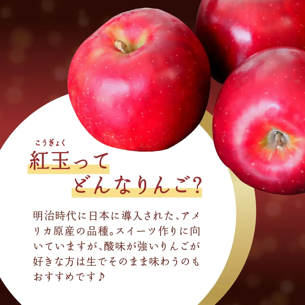 【2026年10月下旬発送】 【特選】りんご 5kg 紅玉 青森