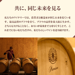 赤ワイン 【1年熟成】 山幸 & 清舞 2本セット 750ml × 2本 (箱入) 北海道 十勝 芽室町me032-033c