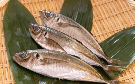 アジ なめろう 50g 10パック セットアジ