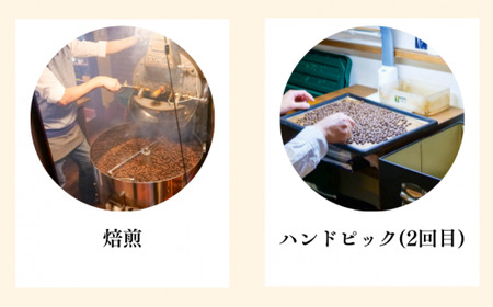コーヒー豆 スターターセット コーヒー豆