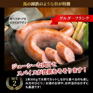 本場ドイツに負けないハム・ソーセージ〃ビアシンケン他2.25kg・通_29369A
