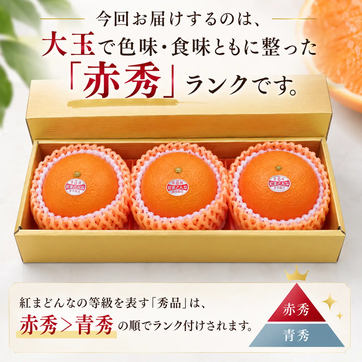 紅まどんな（赤秀・3L 3個入）｜柑橘 まどんな