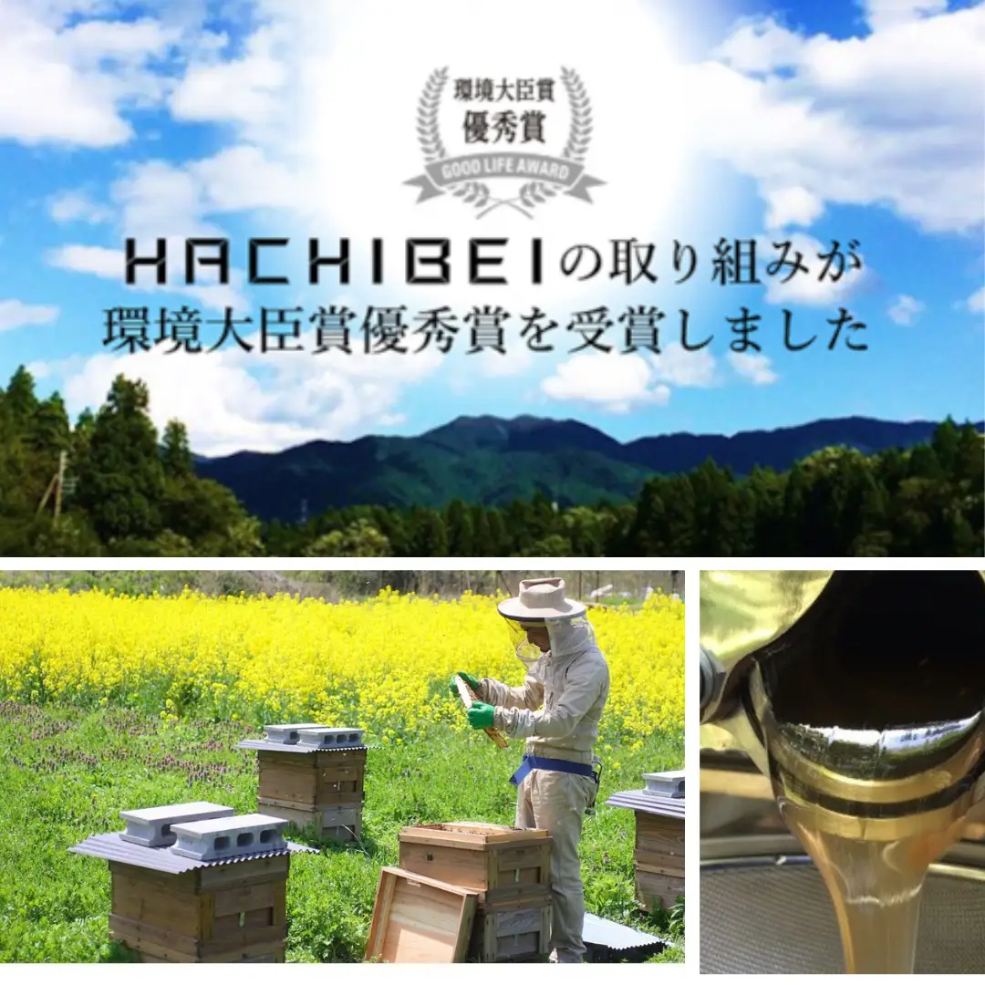 【令和7年産】【環境大臣賞受賞】【特別賞受賞】無洗米 コシヒカリ 10kg 農家直送 ほんのり甘い「はちみつ農法」 白米 精米 HACHIBEI 八米  1L08025