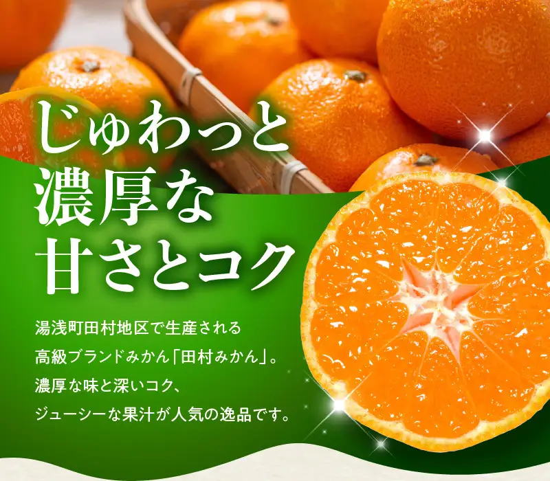 【2026年先行予約】田村みかん 秀品 約 5kg 2Sサイズ 高級ブランド 田村みかん 小玉 みかん 温州みかん フルーツ 果物 柑橘 果汁 ジューシー 赤秀品 青秀品 国産 食品 食べ物 期間限定 お取り寄せ 和歌山県 湯浅町 送料無料_DN6014