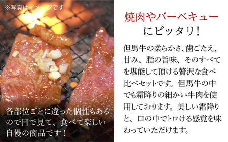 厳選 但馬牛焼肉食べ比べ５種盛【500g】 タレ付（醤油タレ、味噌タレ） AS14EC2