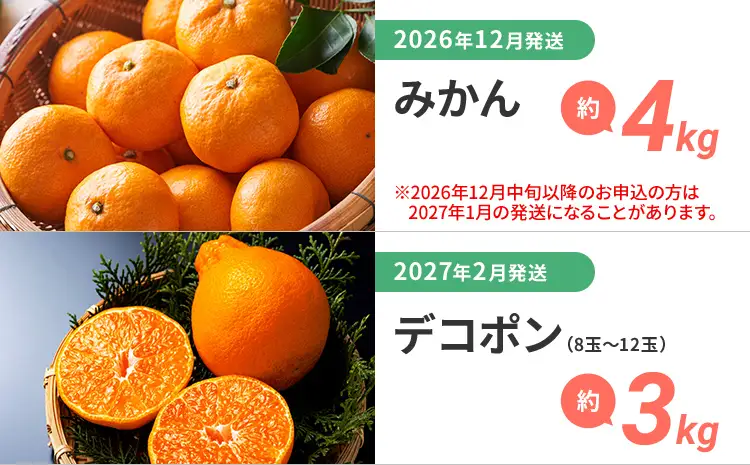 定期便 果物定期便C 6回発送 みかん デコポン 博多あまおう 冷凍あまおう すもも シャインマスカット 定期発送 果物 くだもの フルーツ 柑橘 イチゴ 送料無料 【2026年12月～2027年9月まで計6回お届け】