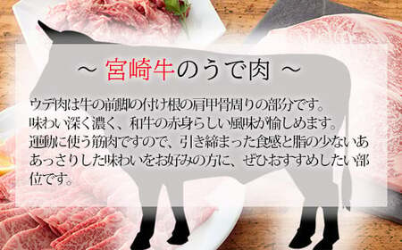 宮崎牛焼肉（うで肉）約500g　TF0568-P00012