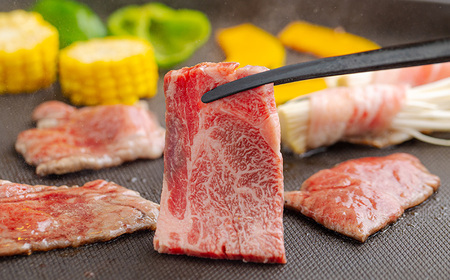 宮崎牛焼肉（肩ロース）約400g　TF0572-P00012