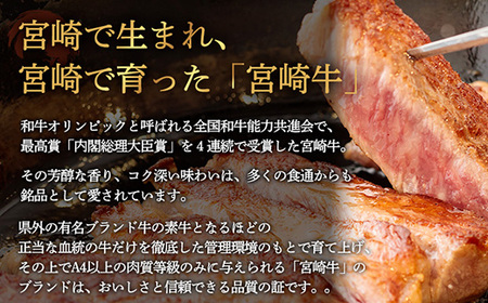 宮崎牛焼肉（肩ロース）約600g TF0573-P00012