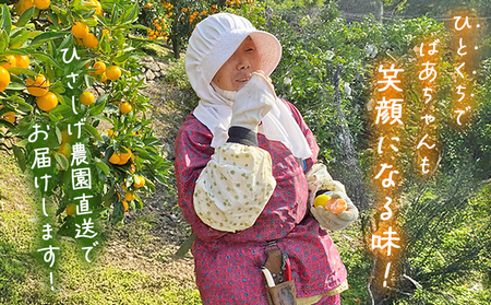 期間限定＜ひさしげ農園直送 西宇和産 温州みかん 約5kg＞ 早生 温州みかん 温州ミカン 果物 くだもの みかん ミカン 柑橘 フルーツ 柑橘 果実 国産 5キロ 愛媛県産 特産品 ひさしげ農園 愛媛県 西予市【常温】『2025年11月下旬～12月中旬迄に順次出荷予定』MHS0002