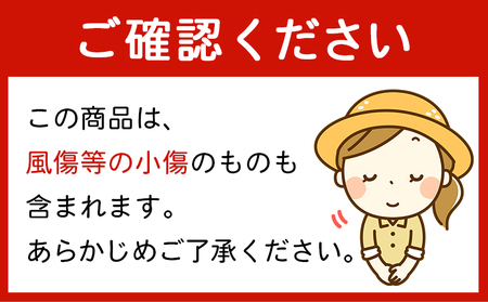 紅まどんなと同品種！＜とびっきりの愛媛 まどんな6玉＆温州みかん約2kgセット＞果物 柑橘 フルーツ マドンナ 愛媛果試第28号 ミカン 蜜柑 期間限定 特産品 産地直送 片山果樹園 西宇和 愛媛県 西予市【常温】『2025年12月中旬より順次発送予定』 MKK0001