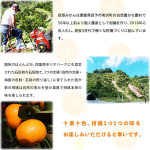 愛媛県西予市産 温州みかん (南柑20号) 贈答用５kg ADM0004