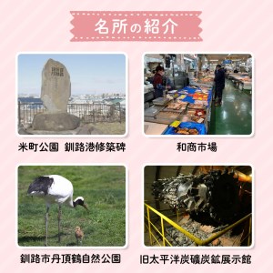 釧路市在住観光クリエーター　原田カーナさんがご案内する釧路市タクシー観光プラン　釧路市内満喫コース（ジャンボタクシ－） F4F-5956