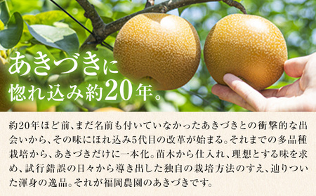 あきづき梨 5㎏ 福岡農園 梨 夏
