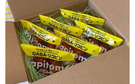 機能性表示食品 Hapitoma ハピトマ 3種盛り（1.2kg）【配送不可：離島】 野菜 ベジタブル ダブル成分 GABA リコピン ストレス 緩和 LDLコレステロール 低下 