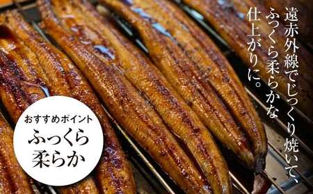 宮崎県産うなぎ蒲焼き 5尾セット_K10_0011_3