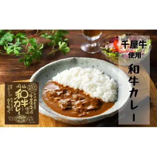 千屋牛や地元食材を使ったレトルト 牛丼 カレー シチュー 各5食 4種20食