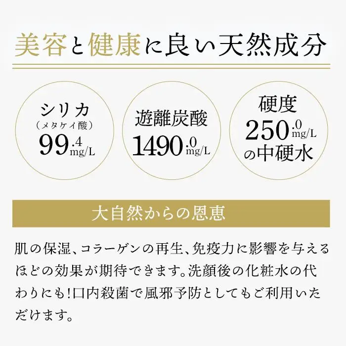 ＜２か月に１度のお届け！全３回 定期便＞天然炭酸水Silica99　500ml×24本