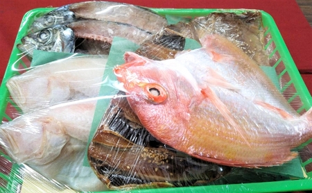 【ふるさと納税】海の京都 橋立やまいち 干物セット 贈答用 A 魚貝類 一夜干し 桜干し みりん干し 干物 ひもの 詰め合わせ セット おつまみ アジ カレイ レンコダイ  myz02 myz11 myz17