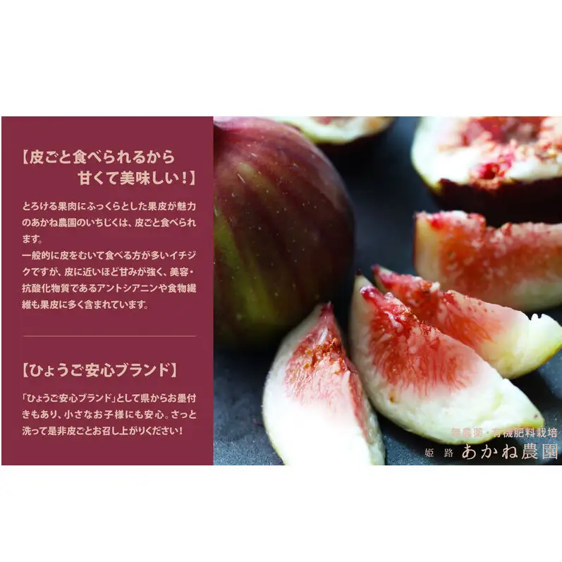 【栽培期間中 無農薬・有機肥料栽培】皮ごと食べれて甘い！あかね農園「 特級 生いちじく」9 個 桐箱入り