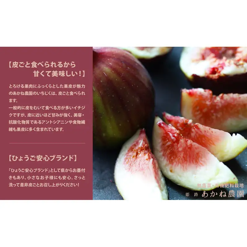【栽培期間中 無農薬・有機肥料栽培】皮ごと食べれて甘い！あかね農園「 特級 生いちじく」約 600g
