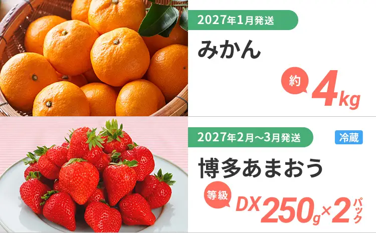 定期便 果物定期便B 3回発送 みかん 博多あまおう ニューサマーオレンジ 日向夏 定期発送 果物 くだもの フルーツ 柑橘 イチゴ 送料無料 【2027年1月～5月まで計3回お届け】