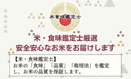 訳あり 京都米食べ比べセット 5kg×2 計10kg