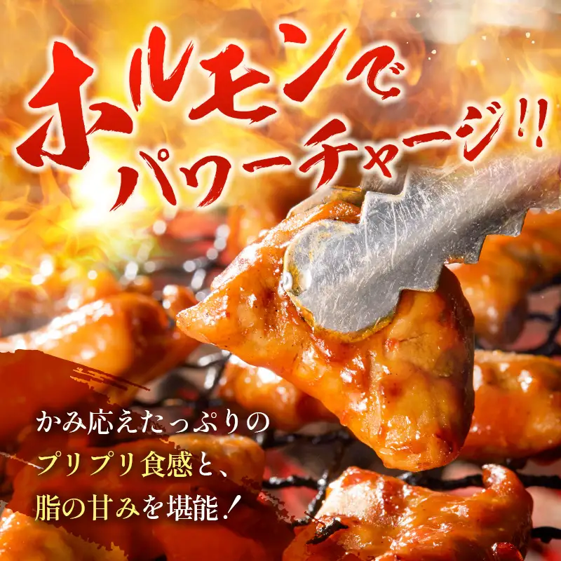 小分けで便利＜宮崎ハーブ牛＞ ホルモン 小腸（200g×4パック）国産【B577】