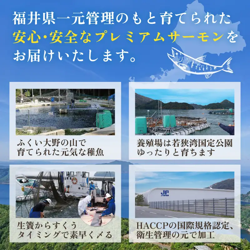 ふくいサーモン合計 600g（刺身用）100g×6パック【サーモン 鮭 刺身 さけ サケ 小分け お刺身用 生食用 生食可 国産】 [B-6209]