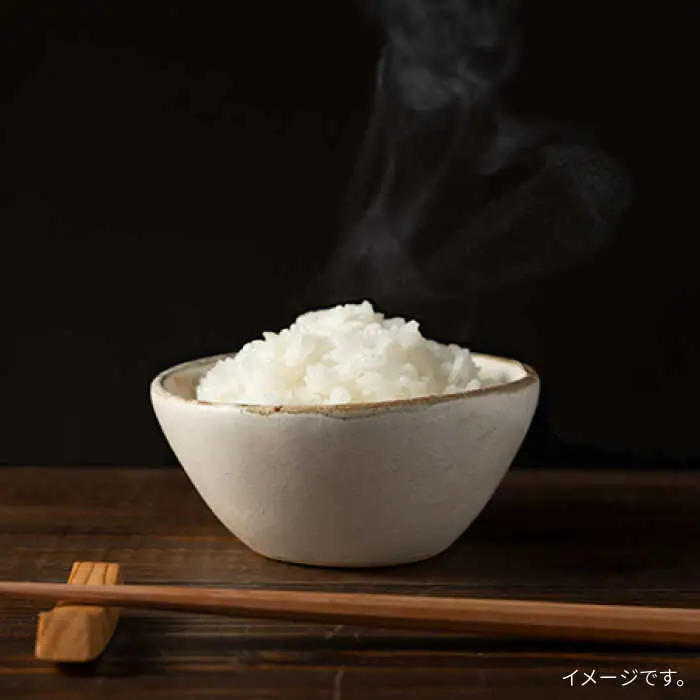 【全3回定期便】とくべつの中のとくべつ 糸島 特別栽培米 3kg （ 夢つくし ）《糸島》【itoshimacco / 株式会社やました】 [ARJ023]