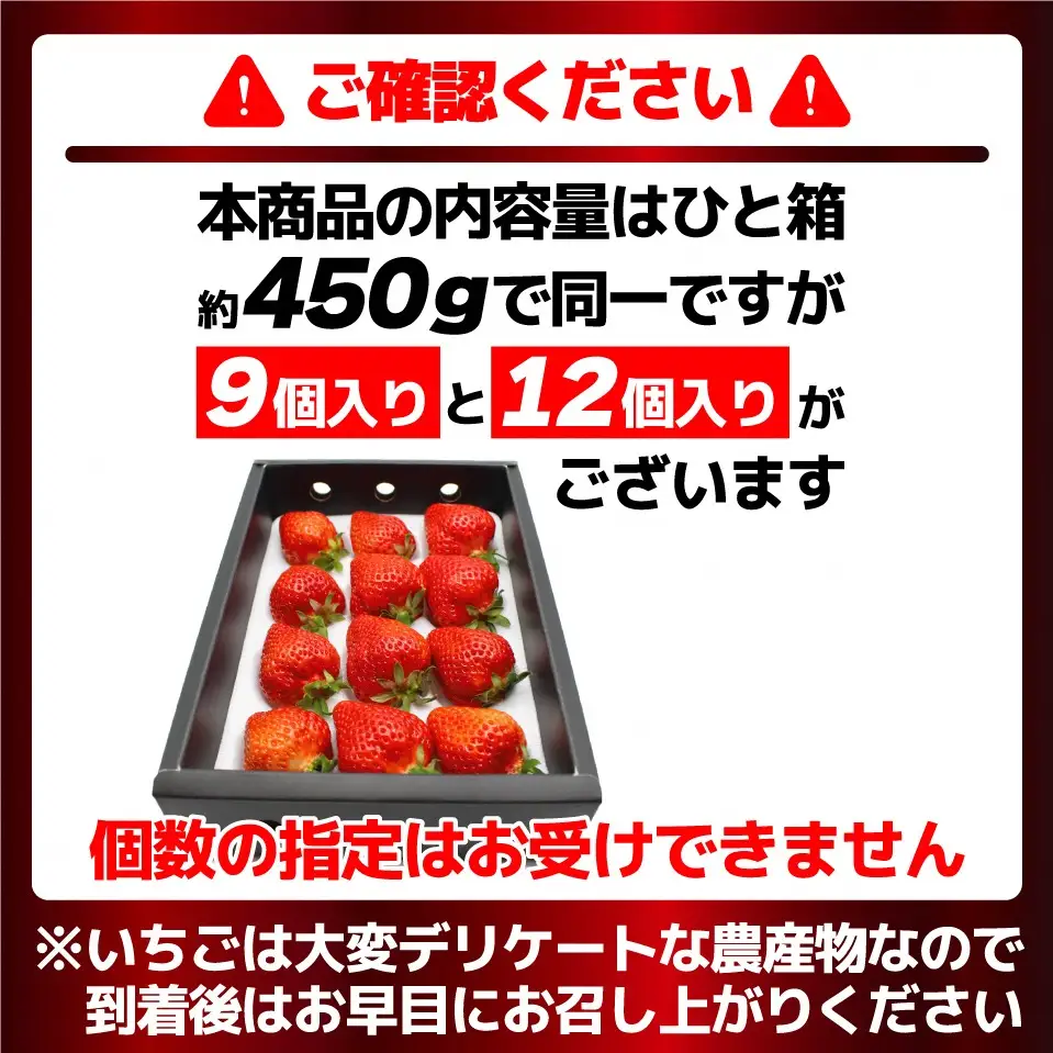 【先行予約】12月発送！「博多あまおう」EX　贈答用化粧箱　約450g 1箱【ほたるの里】_HA0754