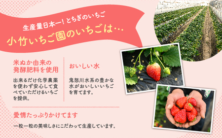 いちご 4種 食べ比べセット（とちおとめ、ミルキーベリー、とちあいか、スカイベリー）400g×2パック 800g ※2027年1月～発送