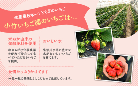 新旧2種食べ比べセット（とちおとめ、とちあいか）270g×4パック 1.08kg以上 ｜ ※2027年1月～発送