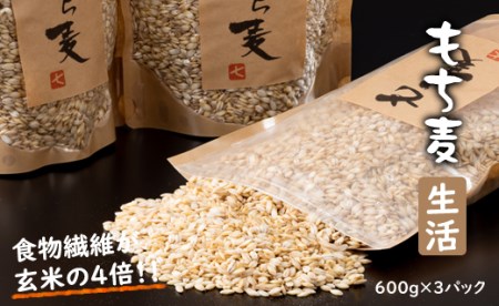 もち麦（600g×3パック）  B130-066