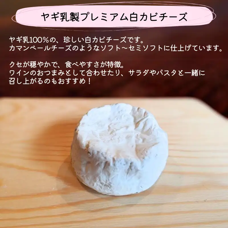 【限定：5月～10月発送・ヤギ乳使用】プレミアム白カビチーズ 約100g×3パック