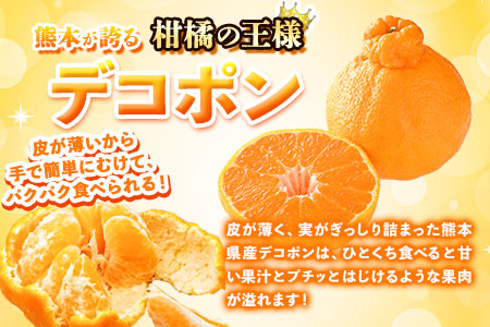 デコポン 3.6kg 露地 デコポン