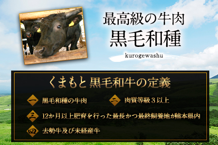 くまもと黒毛和牛 あしきた牛サーロインステーキ 熊本県産 200g×1枚《30日以内に出荷予定(土日祝除く)》熊本県 葦北郡 津奈木町 あしきた農業協同組合 JAあしきた あしきた牛 くまもと黒毛和牛 和王 黒毛和牛 肉