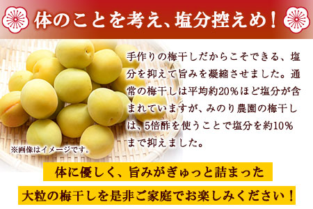 塩漬けうめぼし 800g 梅 梅干し みのり農園