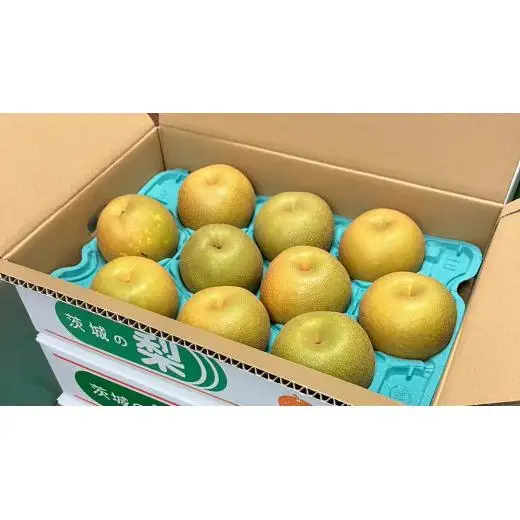 【 2026年8月上旬発送開始 】 茨城県産 梨 幸水 （約 5kg ） 10～14玉 梨 なし 和梨 日本梨 果物 フルーツ 新鮮 旬 期間限定 国産 先行予約