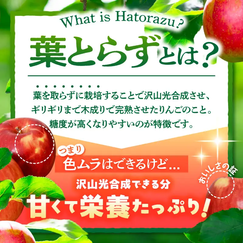 【2027年1月前半発送】【訳あり】 りんご 葉とらずサンふじ 約5kg 青森県産 サンふじ