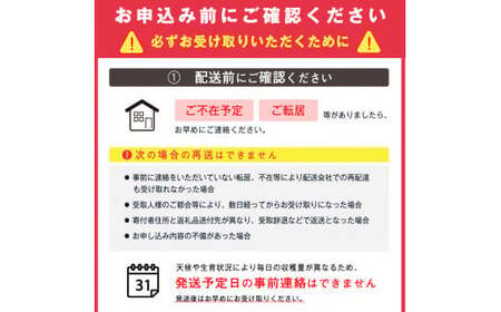 《先行予約》 令和8年産 りんご「サンふじ」秀品 5kg 山形県産【2026年12月上旬頃から2027年1月中旬頃発送予定】2026年産 山形産　018-B-MM028