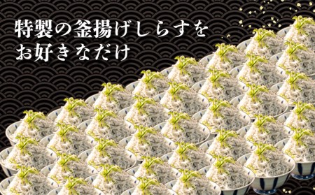 釜揚げしらす 1kg 小分け パック 200g 5パック 沼津我入道漁協特製 