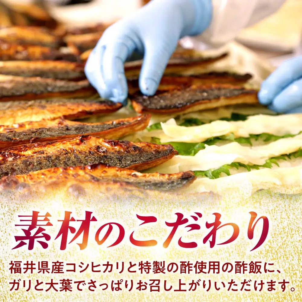 【着日指定可】焼き鯖すしセット　8貫入り×2本 / サバ さば寿司 鮨 福井 小浜 鯖 【配送不可地域：北海道、沖縄、離島】 小浜市 / 若廣  [BFAM009]