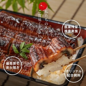 炭火手焼き 愛知県三河一色産うなぎ蒲焼き　3尾(1尾あたり116g～135g)・U025-19