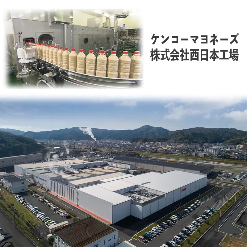 ポテトサラダ 20袋 個包装 サラダ  惣菜