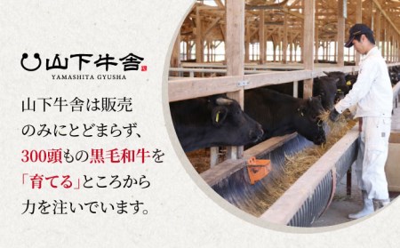佐賀牛 A5 牛すじ 300g×3パック HAD119 国産 黒毛和牛